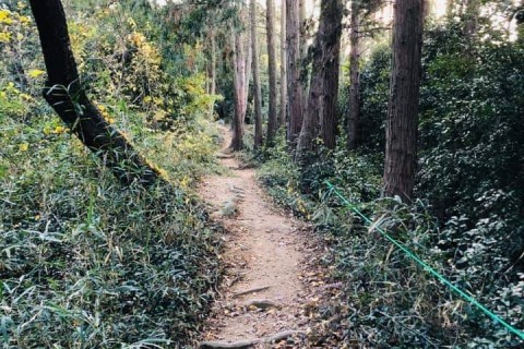 観音山ファミリーパークトレイルラン