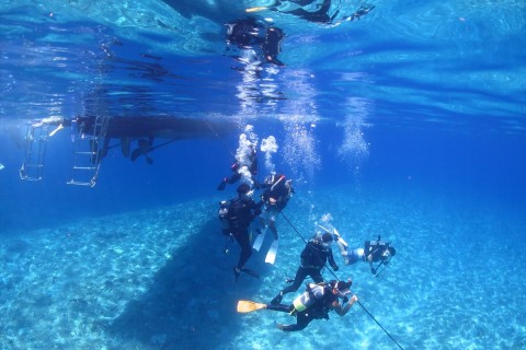 沖縄ダイビングディーズパルス