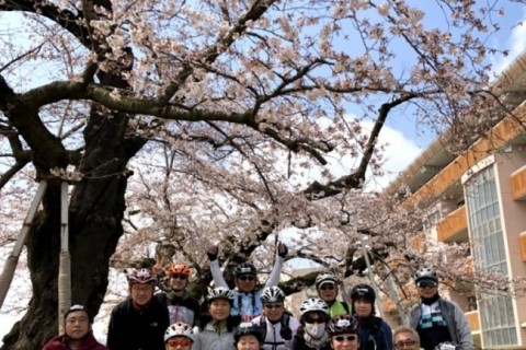 城下町土浦りんりんお花見自転車散歩　　りんりんポート土浦発着30km