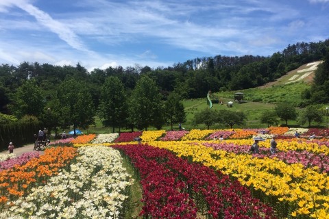 いいでどんでん平ゆり園