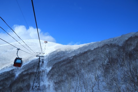 サホロリゾートスキー場