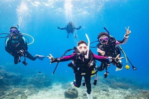 ARK DivingShop/アークダイビングショップ