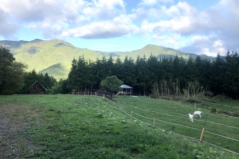信州まるべりーオートキャンプ場