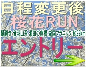 日程変更後　桜花ラン　モシコムエントリーサイト