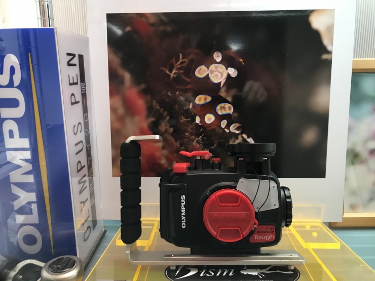 マリンクエスト・ダイビングショップ