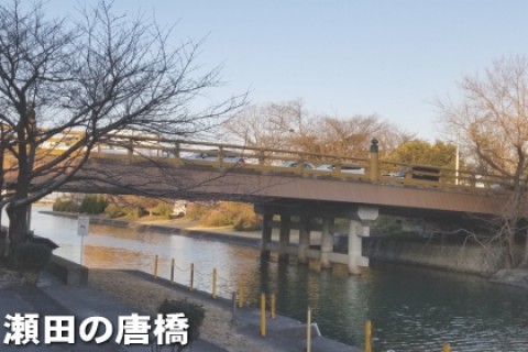 醍醐寺 音羽山系 瀬田の唐橋 湖国マラニック 約22km 若葉編（草津 水春 入浴券つき）