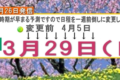 桜花ラン 醍醐寺 音羽山系 瀬田の唐橋 湖国マラニック 約22km （草津 水春 入浴券つき）
