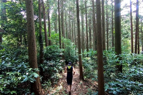 全長開通記念！ながとトレイル トレイルランニング