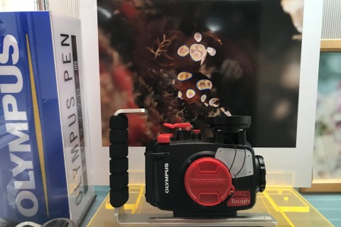 マリンクエスト・ダイビングショップ