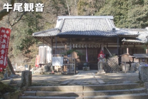 醍醐寺 音羽山系 瀬田の唐橋 湖国マラニック 約22km 若葉編（草津 水春 入浴券つき）
