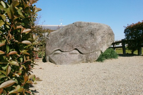 令和2年･駅からウオーク by TATTA & 大和路くつの日ウオーキング／KBCウオークin奈良