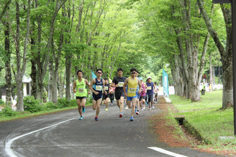 白神山地ブナの森マラソン大会＿片道コース