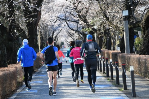 4/3(金)早朝お花見sakurarun♪