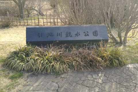 スロージョギングin引地川親水公園（花見編）