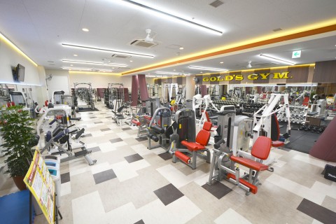 ゴールドジム南大沢