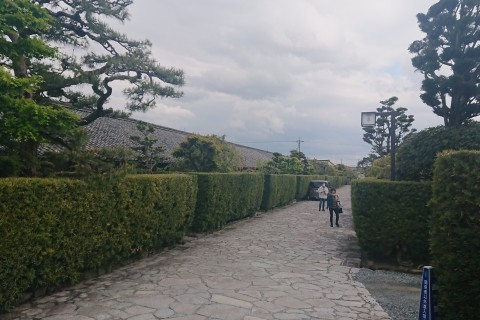みえ松阪マラソン　応援ウォークコース