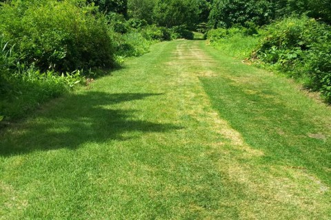 蔵王坊平クロスカントリーコース