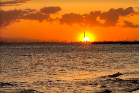 第7回東京湾アクアスロン