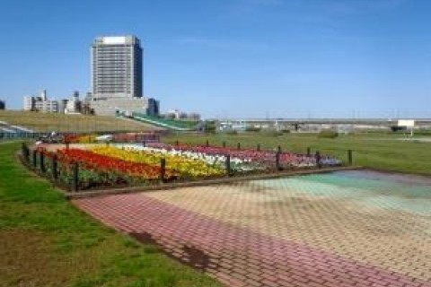 北千住コース