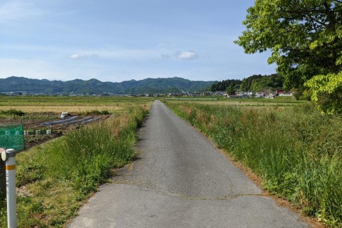 フルーツラインコース