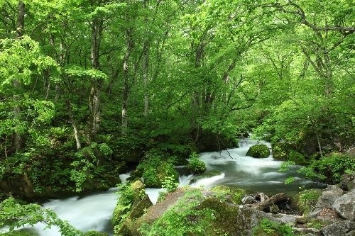 青森県十和田湖奥入瀬渓流 十和田湖・奥入瀬渓流の魅力 ～深呼吸したくなる十和田湖・奥入