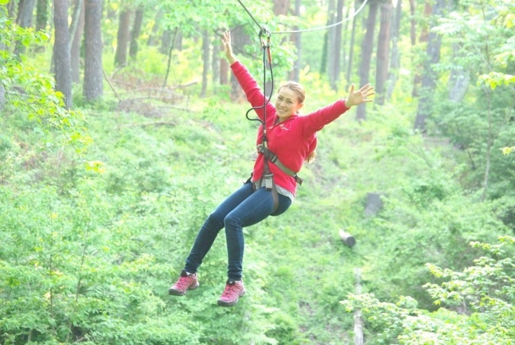 フォレストアドベンチャー・フジ