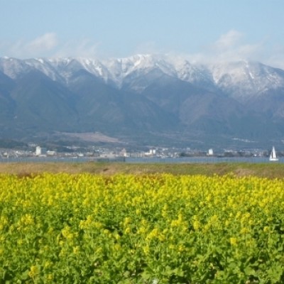 琵琶湖さざなみ街道と古津堅田のみち