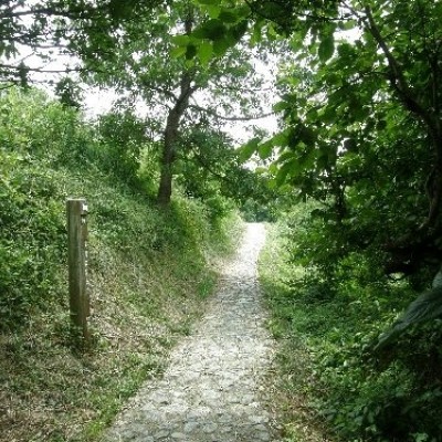 山の辺の道（天理〜桜井）