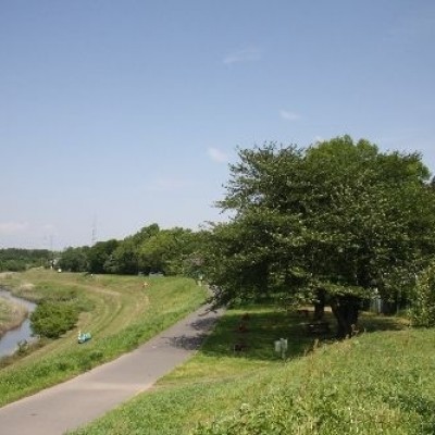 オランダ遺産利根運河