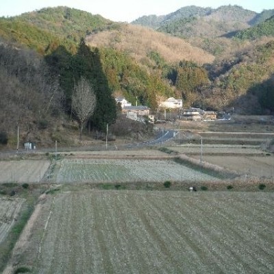 金明孟宗竹　周辺田園ウォーキング