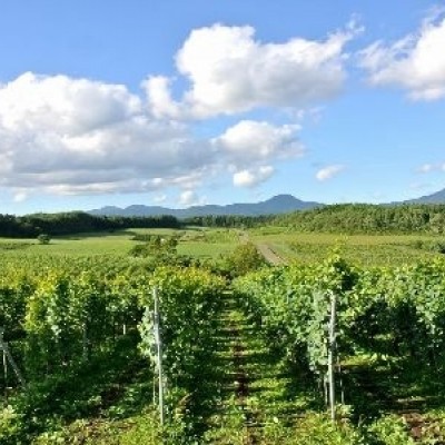 まさかり半島・陸奥湾を巡る道