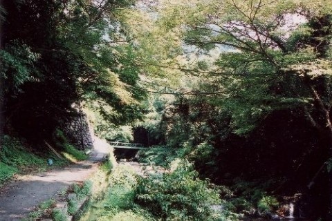 智頭往来　志戸坂峠越