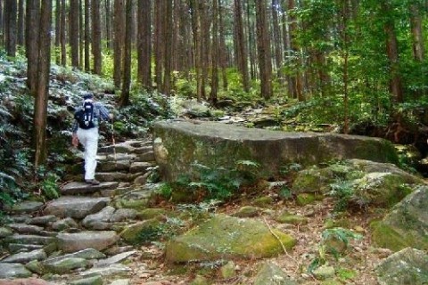 世界遺産・熊野古道満喫コースinおわせ