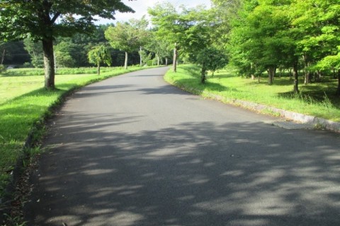 岩手県遠野市　TONOリレーマラソン