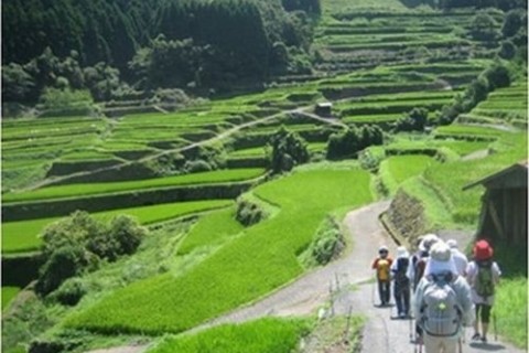 つづら棚田の散歩道〜森林セラピーロード〜