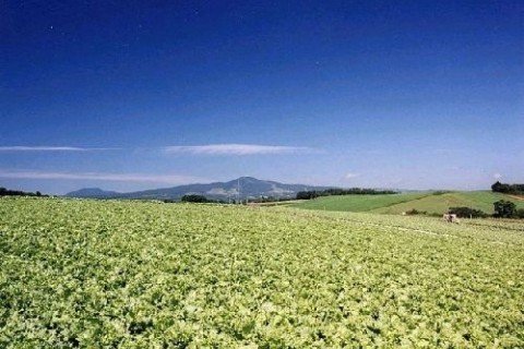 望郷の風景と歴史を学ぶ道