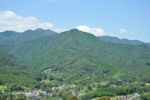 大山巡礼トレイル