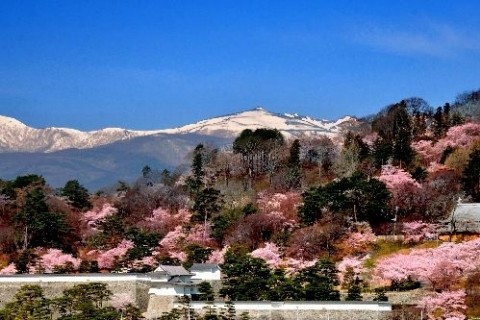 ほんとの空が広がる道
