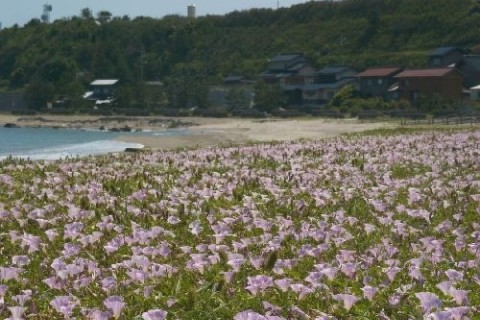 「太平記」の舞台・潮風の道