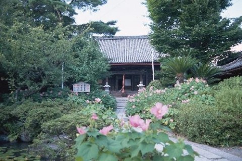 長浜・秀吉ゆかりの社寺を巡るみち