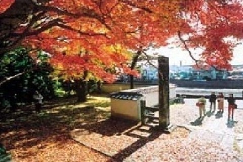 脚本家市川森一の原風景「諫早干拓地」を訪ねるみち