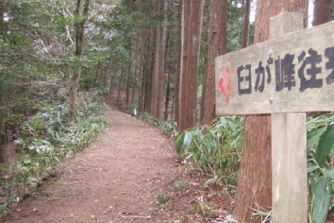 臼が峰往来