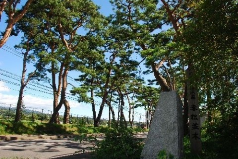 赤松街道