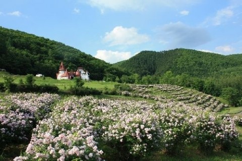 ハーブと錦仙峡を訪ねるみち