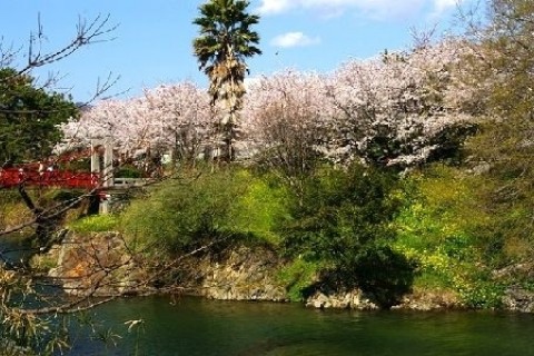 伊予山の辺のみち・東コース「四国遍路」と「八社八幡参り」を目指すみち