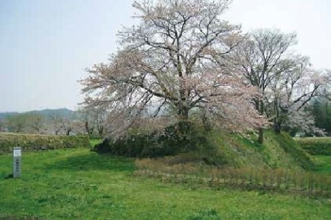 奥州街道 末の松山のみち