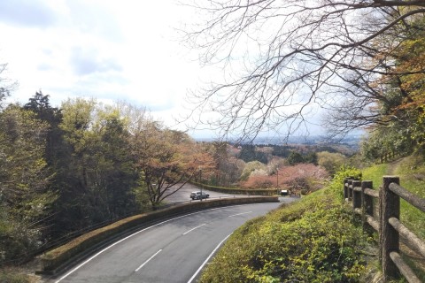 城内坂ウルトラコース