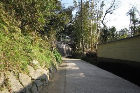 川棚大クス里山街道