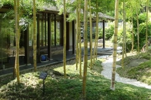 竹の径と竹林を訪ねるみち