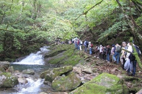 津市森林セラピー基地　日神西浦コース